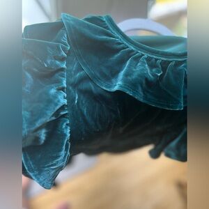 💰⬇️ CLOSET CLEAROUT Crewcuts Emerald Green Velvet Dress – Size 8